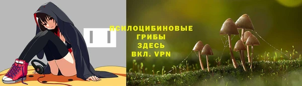 ГАЛЛЮЦИНОГЕННЫЕ ГРИБЫ Абдулино