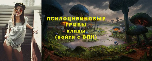 ГАЛЛЮЦИНОГЕННЫЕ ГРИБЫ Абдулино