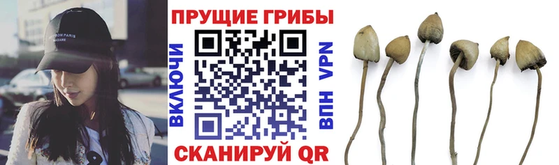 Галлюциногенные грибы Cubensis  Шали 